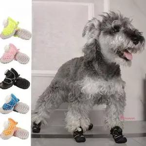 콩쓰몰리 고양이 운동화 강아지 산책 신발 다이얼 한켤레2개ghi461
