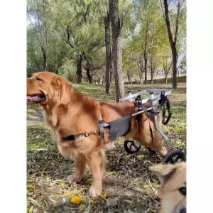 대형견 휠체어 의족 애견보행기 바퀴 이륜 반려견
