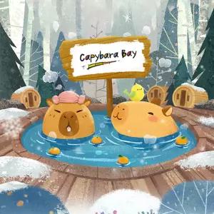 캐리비안 베이 종일+에버랜드 오후권(12/5~26/3/2)