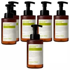 나드 포밍 상시비치 청결제 손세정제 레몬민트 500ml 6개