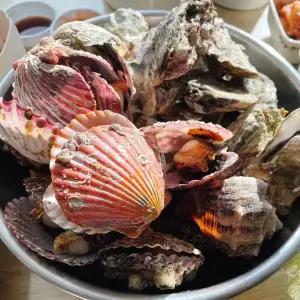 통영 석화 3kg + 홍가리비 2kg 세트