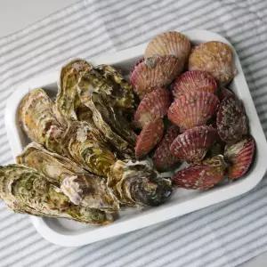 통영 제철 석화가리비 세트 8키로 (석화5kg+홍가리비3kg)