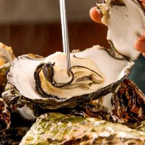 [천사푸드] 싱싱한 통영 석화3kg+가리비1kg