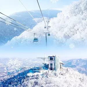 [평창] 모나용평 발왕산 관광케이블카(12/6~3/2)