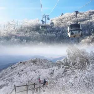 무주 덕유산 곤돌라 케이블카 당일여행 티켓확보