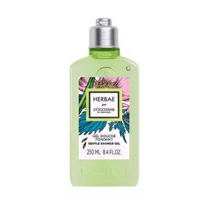 록시땅 에르베 샤워 젤 250ml