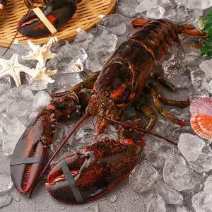 [롯데백화점]자연맛남 수율보장 항공직송 활랍스터 600내외 1마리