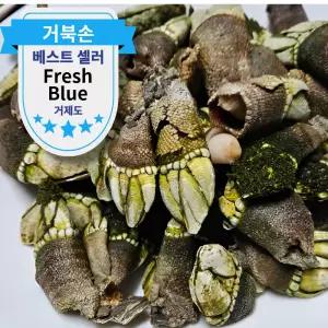 거제도 자연산 거북손 생물 신선 1kg