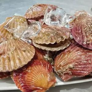 (강)싱싱한 제철 홍가리비 5kg(특/kg당 15~25미 내외)