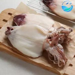 [바다씨네 건어물]꼬마한치 10마리 마른한치