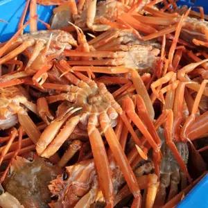 포항 박달홍게 수율A급 자숙 대게 3kg (8~11미) 수율보장 산지직송