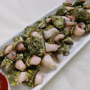 국내산 연안 거북손 1kg 30-60개 내외