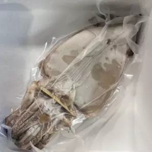 피데기 반건조 오징어 20미