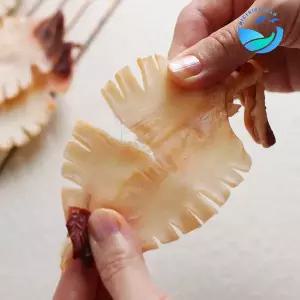 [바다씨쌀롱]꼬마한치 마른한치 2s사이즈 10마리 AAA급 건조한치