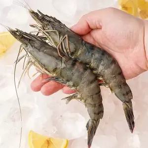 [자연맛남][물맛남] 블랙타이거새우 1KG(500g 6미2팩)