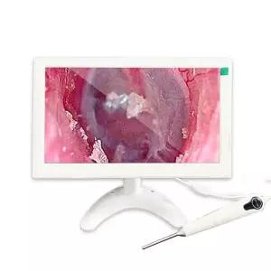 플리어 플리어 열화상카메라 프로급 스크린 반경성 교체 C5