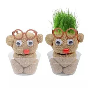 식물기르기,자연학습,자연관찰,반려식물,홈가든,식물관리팁,실내정원,식물관찰,화분가꾸기,화분디자인아이디어 머리가 자라는 잔디인형 머리잔디 키우기