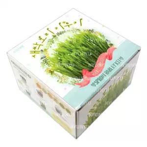 새싹 보리 키우기 재배 키트 NRR 2개