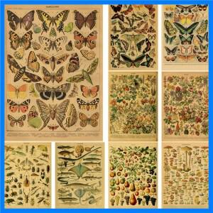 나비 곤충 꽃 버섯 포스터 식물 교육 크래프트 종이 DIY 빈티지 홈 룸 바 카페 장식 미술 벽화