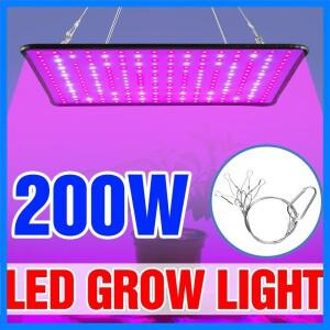 200W LED 풀 스펙트럼 성장등 퀀텀 보드 재배 램프 실내 꽃 온실 다육식물 선인장 이끼용 미국/유럽 플러그