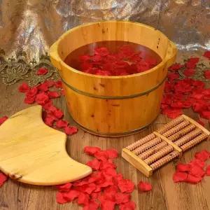 강아지 히노끼탕 애견 목욕탕 삼나무 욕조 반려견 편백나무