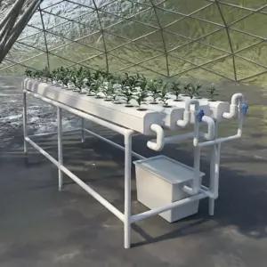 비닐하우스 대형 재배기 스마트팜 식물재배기