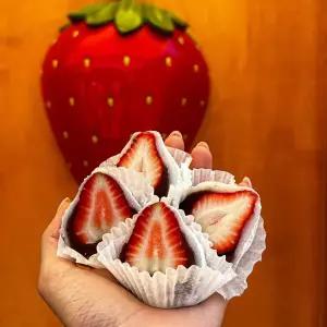 [신세계백화점] [서녹씨] 여수 딸기모찌 10p 세트