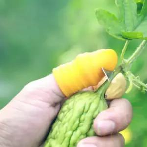 농사도구 엄지칼 야채 손가락칼