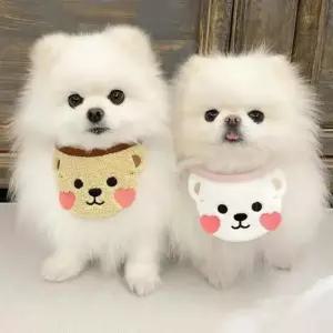 강아지 고양이 귀여운 턱받이 스카프 패션 반려견 반려묘 펫용품