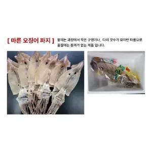 정품같은 마른오징어파지(8~12미 500g)