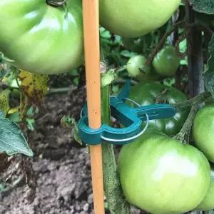 원예 지지대 고추 토마토 넝쿨지지대 작물 지지대집게 고추집게 오이집게