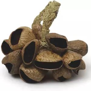 GMP 판기 씨 껍질 쉐이커/넛쉘 타악기 사운드 이펙트 로프 손잡이/대나무 손잡이 정통 전통 래틀(천연)이