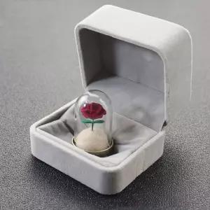 강아지 고양이 털 기념 보관함 2종세트 수집 케이스