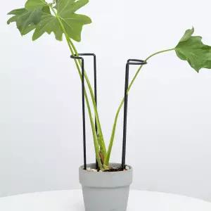 구심 10팩 몬스테라 식물 지원 - 실내외 중형 화분용 12인치 내구성 철 U자형 트렐리스 스테이크 등을 위한