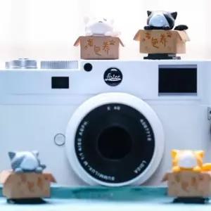 핫슈커버 카메라 슈 고양이 캐릭터 악세사리 DSLR 미러리스용 (WFKAEH1)