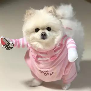 분장 귀여운 파티의상 강아지 조끼 기획상품 신상 처키 애견의류