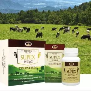 노인 어린이 수유부 영양 초유 우유 단백질 캔디 (WFKAY8T)