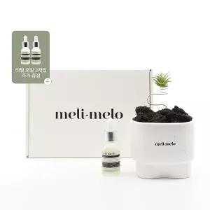 [무케] 멜리멜로_실내 방향제 작은정원 스톤 디퓨저 + 리필오일 2개