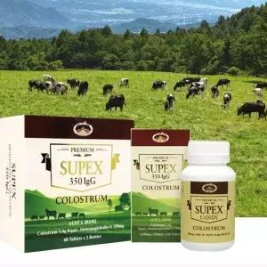 노인 어린이 수유부 영양 초유 우유 단백질 캔디 (WFKAY8T)