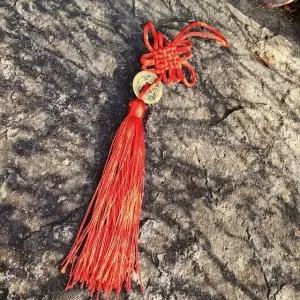 재물운 금전운 엽전 장식 전통 풍수 소품 (WFKAZZY)