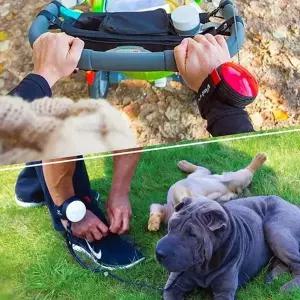 강아지 자동줄 리드줄 팔목 블루 반려 애견 개 산책줄 강아지자동줄