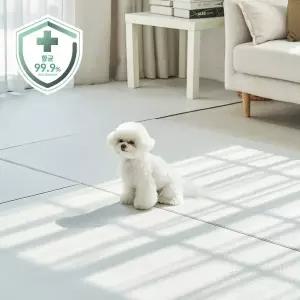 [카라즈펫] 항균 PVC 펫매트 러그형