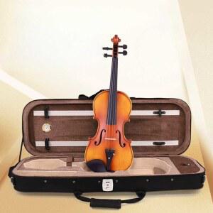 바이올린 하드케이스 가방 악기 배낭형 보우 유리 우쿨렐레 나무 사각 경량
