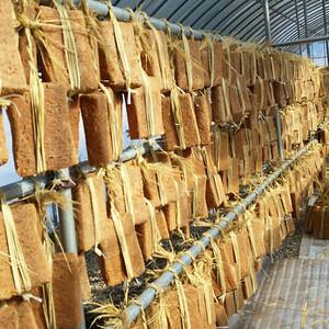 된장 명인의 우리콩 전통메주 1장(1.5~1.8kg 내외/건고추, 숯 제공)