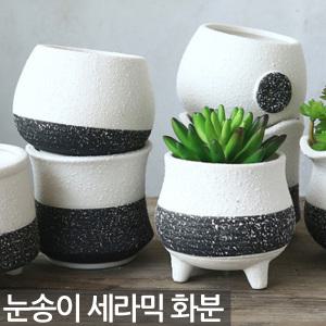 흑백 도자기 다육 다육이 화분 1P - 인테리어 고급화분 예쁜화분 선인장 미니 흰색화분 홈카페 홈까페 홈가
