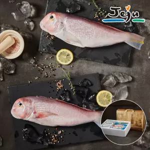 갤러리아 제주 프리미엄 옥돔 선물세트 2kg(10마리)+고급선물가방