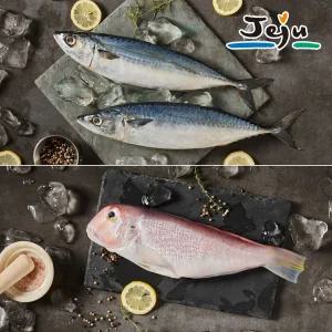 갤러리아 제주 프리미엄 옥돔,고등어 혼합 선물세트(옥돔 5마리,고등어살 5