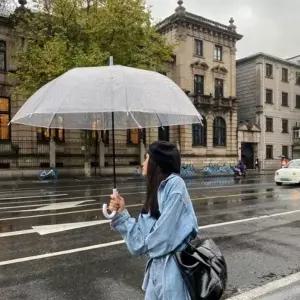 투명 파스텔 장우산 WFGPVSX