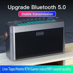 N75R-RGB 사운드 일체형 기계 노래방 휴대용 BT 무선 스피커 카드 포함 2개의 마이크 홈 KTV