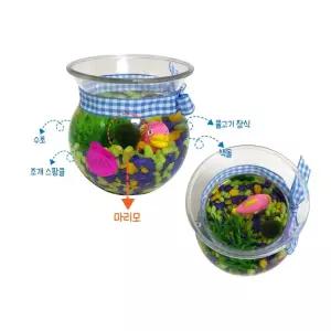 유아 어린이용 미니어항꾸미기 마리모키우기 자연과학 자연생태학습